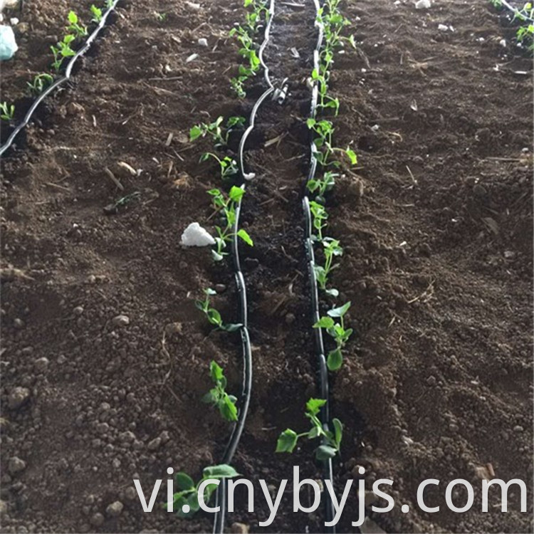 Drip Irrigation 93